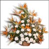 Gift of Love - Click here to View more details about this Product
